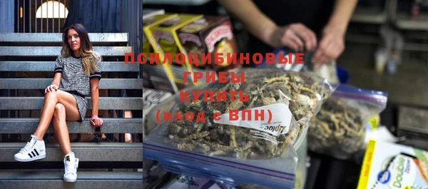 дурь Корсаков