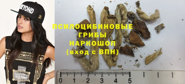 винт Алзамай