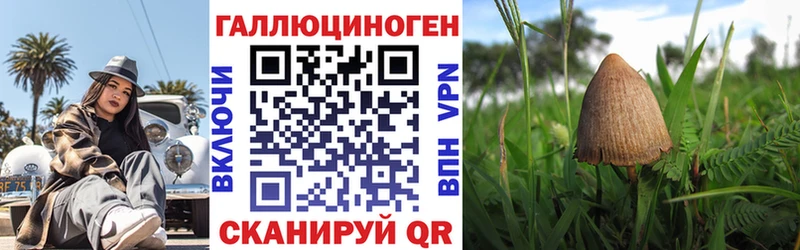 Псилоцибиновые грибы мицелий Руза
