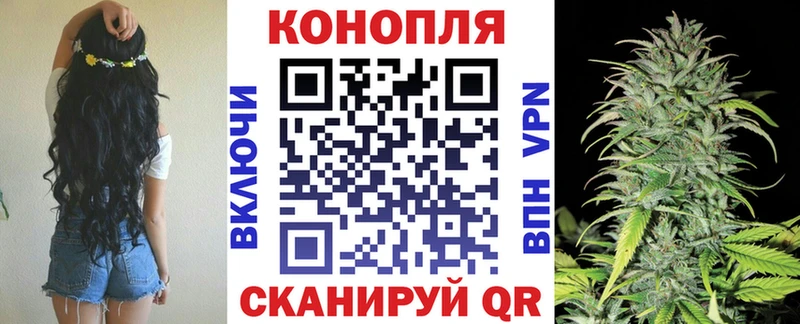 цены   Руза  Бошки Шишки SATIVA & INDICA 